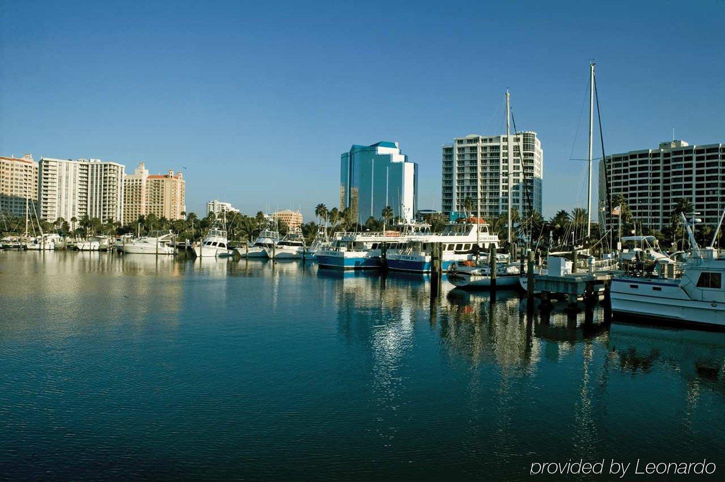 Hilton Garden Inn Sarasota-Bradenton Airport Zewnętrze zdjęcie