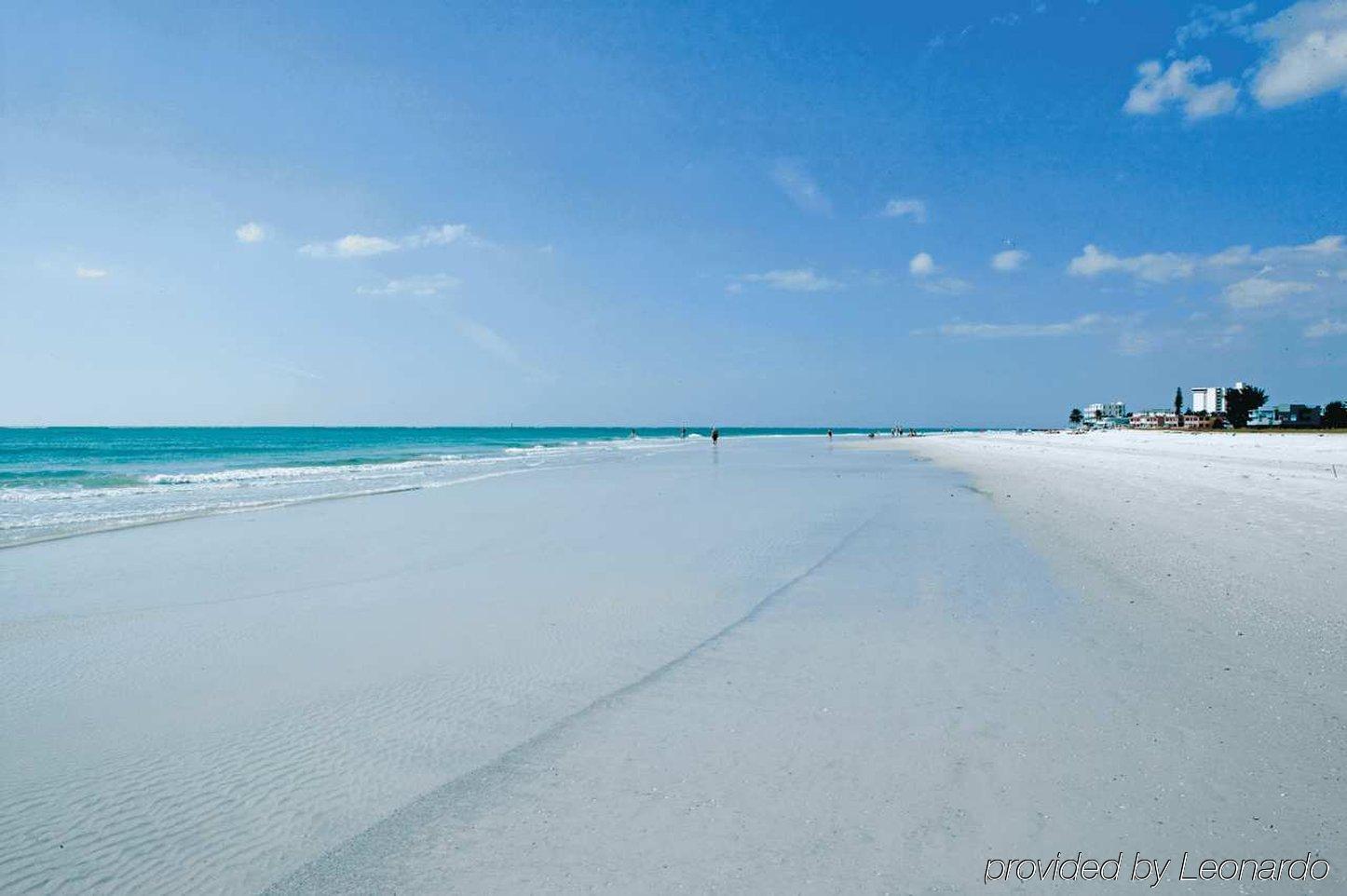 Hilton Garden Inn Sarasota-Bradenton Airport Zewnętrze zdjęcie