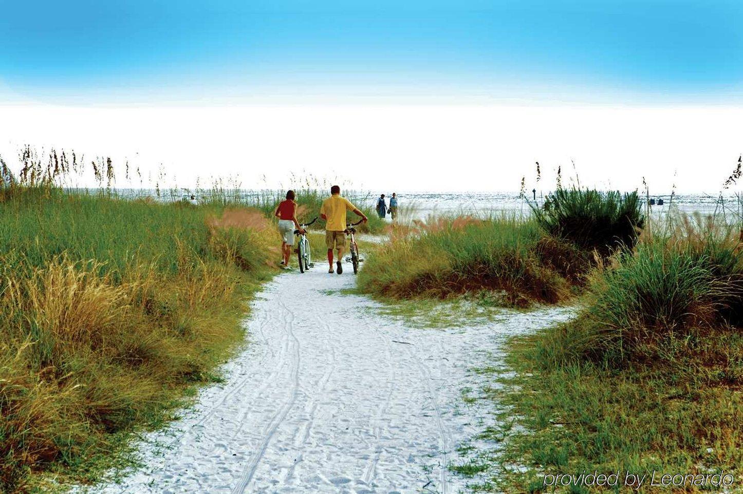 Hilton Garden Inn Sarasota-Bradenton Airport Zewnętrze zdjęcie